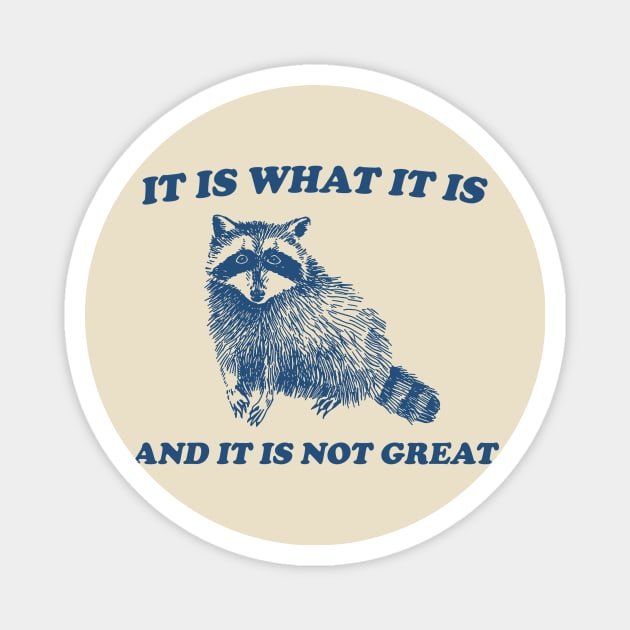 It Is What It Is And It Is Not Great, Funny Sweatshirt, Raccoon Sweatshirt, Cartoon Meme Top, Vintage Cartoon Magnet by CamavIngora